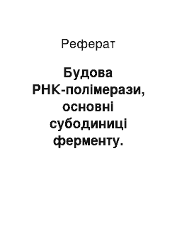 Реферат: Будова РНК-полімерази, основні субодиниці ферменту. Ініціація транскрипції