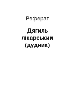 Реферат: Дягиль лікарський (дудник)