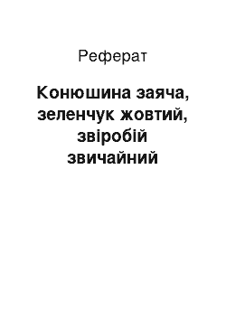 Реферат: Конюшина заяча, зеленчук жовтий, звіробій звичайний