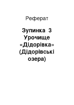 Реферат: Зупинка №3 Урочище «Дідорівка» (Дідорівські озера)