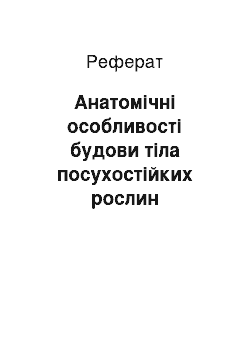 Реферат: Анатомічні особливості будови тіла посухостійких рослин