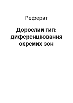 Реферат: Дорослий тип: диференціювання окремих зон