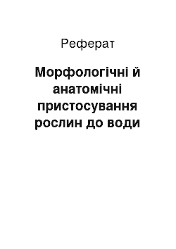 Реферат: Морфологічні й анатомічні пристосування рослин до води