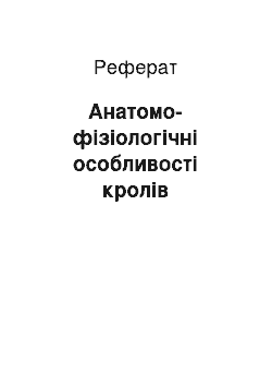 Реферат: Анатомо-фізіологічні особливості кролів