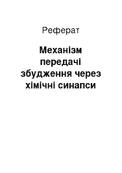 Реферат: Механізм передачі збудження через хімічні синапси