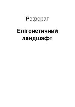 Реферат: Эпигенетический ландшафт