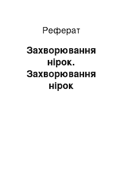 Реферат: Захворювання нірок. Захворювання нірок