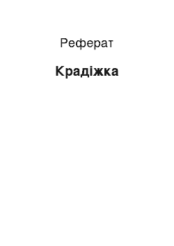 Реферат: Крадіжка