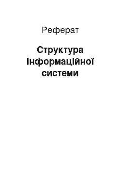 Реферат: Структура інформаційної системи