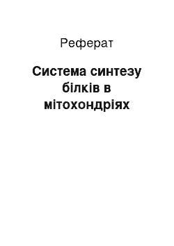 Реферат: Система синтезу білків в мітохондріях