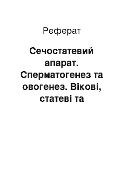 Реферат: Сечостатевий апарат. Сперматогенез та овогенез. Вікові, статеві та індивідуальні особливості сечостатевого апарату