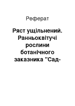 Реферат: Ряст ущільнений. Ранньоквітучі рослини ботанічного заказника "Сад-Балка" у Дніпропетровській області