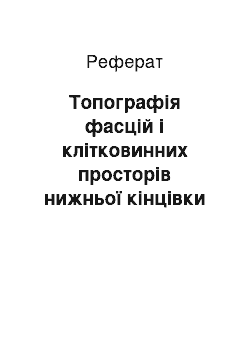 Реферат: Топографія фасцій і клітковинних просторів нижньої кінцівки