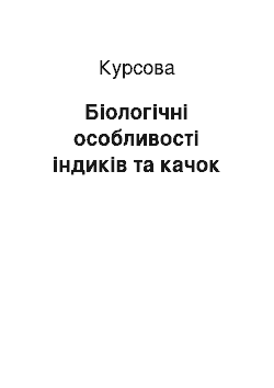 Курсовая: Біологічні особливості індиків та качок