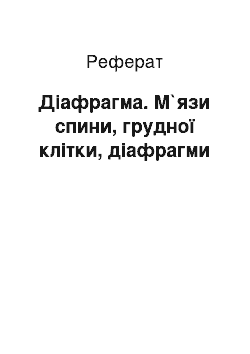 Реферат: Діафрагма. М`язи спини, грудної клітки, діафрагми