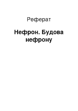 Реферат: Нефрон. Будова нефрону