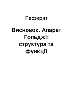 Реферат: Висновок. Апарат Гольджі: структура та функції