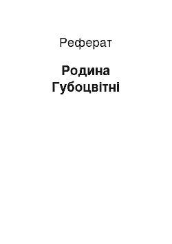 Реферат: Родина Губоцвітні