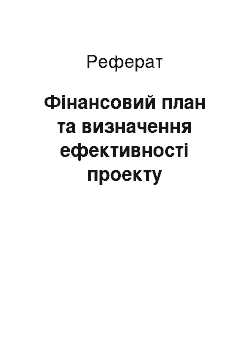 Реферат: Фінансовий план та визначення ефективності проекту