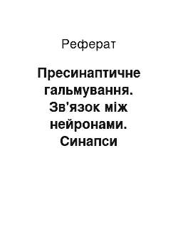 Реферат: Пресинаптичне гальмування. Зв'язок між нейронами. Синапси