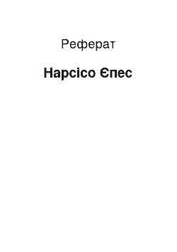 Реферат: Нарсисо Йепес