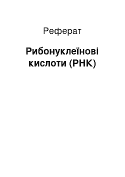 Реферат: Рибонуклеїнові кислоти (РНК)