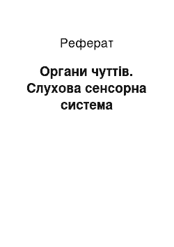 Реферат: Органи чуттів. Слухова сенсорна система