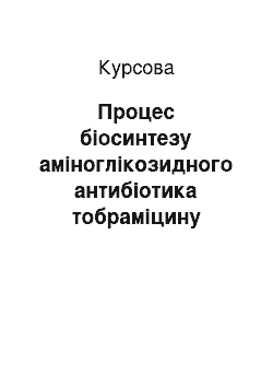 Курсовая: Процес біосинтезу аміноглікозидного антибіотика тобраміцину