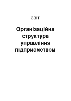 Отчёт: Організаційна структура управління підприємством