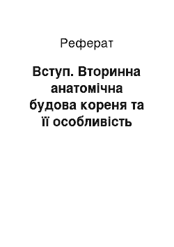 Реферат: Вступ. Вторинна анатомічна будова кореня та її особливість