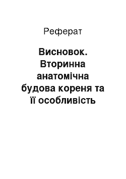 Реферат: Висновок. Вторинна анатомічна будова кореня та її особливість