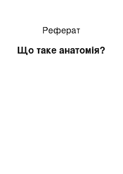 Реферат: Що таке анатомія?