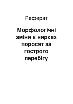 Реферат: Морфологічні зміни в нирках поросят за гострого перебігу колібактеріозу на фоні надлишку міді, заліза, кобальту в кормах