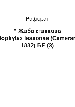 Реферат: * Жаба ставкова Pelophylax lessonae (Camerano, 1882) БЕ (3)