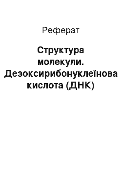 Реферат: Структура молекули. Дезоксирибонуклеїнова кислота (ДНК)