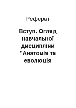 Реферат: Вступ. Огляд навчальної дисципліни "Анатомія та еволюція нервової системи"