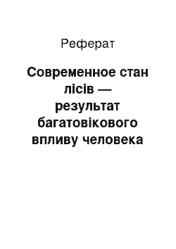 Реферат: Современное стан лісів — результат багатовікового впливу человека