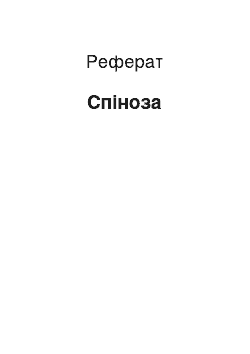 Реферат: Спиноза