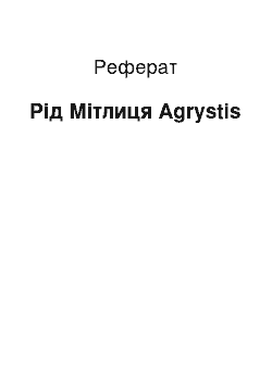 Реферат: Рід Мітлиця Agrуstis