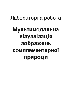 Лабораторная работа: Мультимодальна візуалізація зображень комплементарної природи