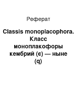 Реферат: Classis monoplacophora. Класс моноплакофоры кембрий (є) — ныне (q)