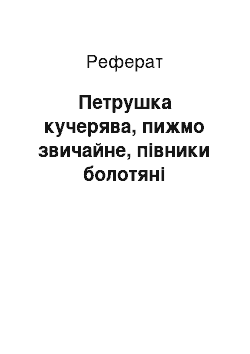 Реферат: Петрушка кучерява, пижмо звичайне, півники болотяні